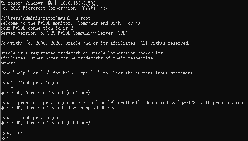 image-20211028194902424