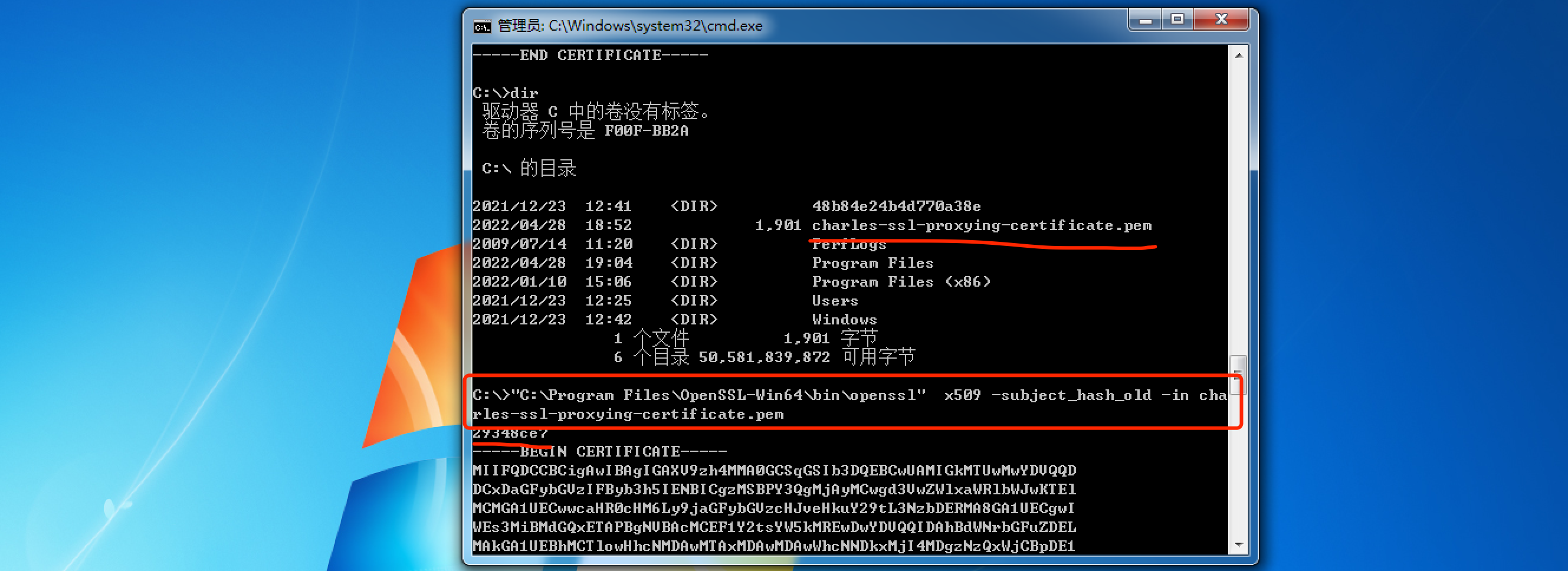 image-20220428191439073