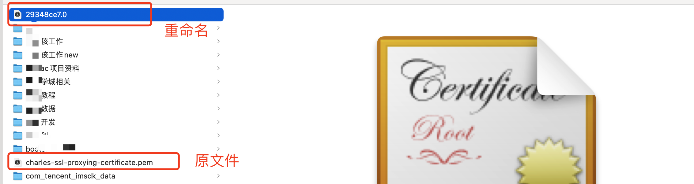 image-20220428191932043