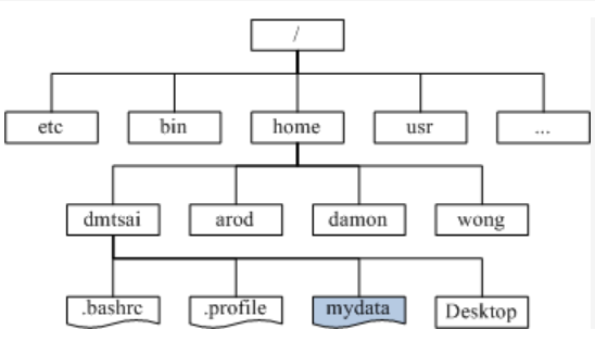 image-20230228115851902