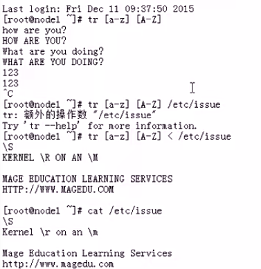 image-20230412172109981