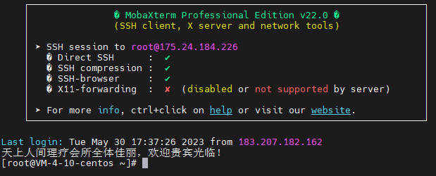 image-20230530174614977