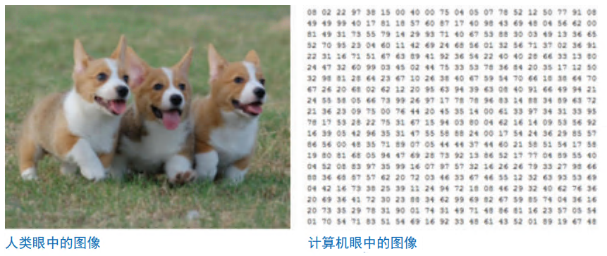 image-20240117161250982