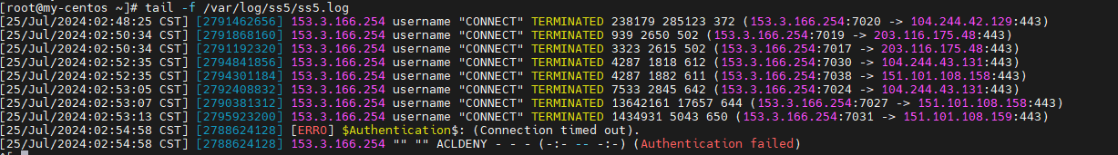 image-20240725025649299